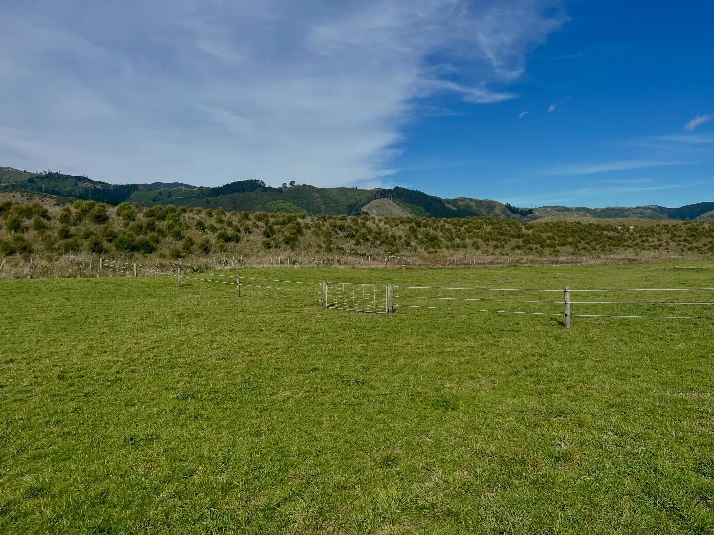 Grazing paddocks at Kāpiti Pony Club