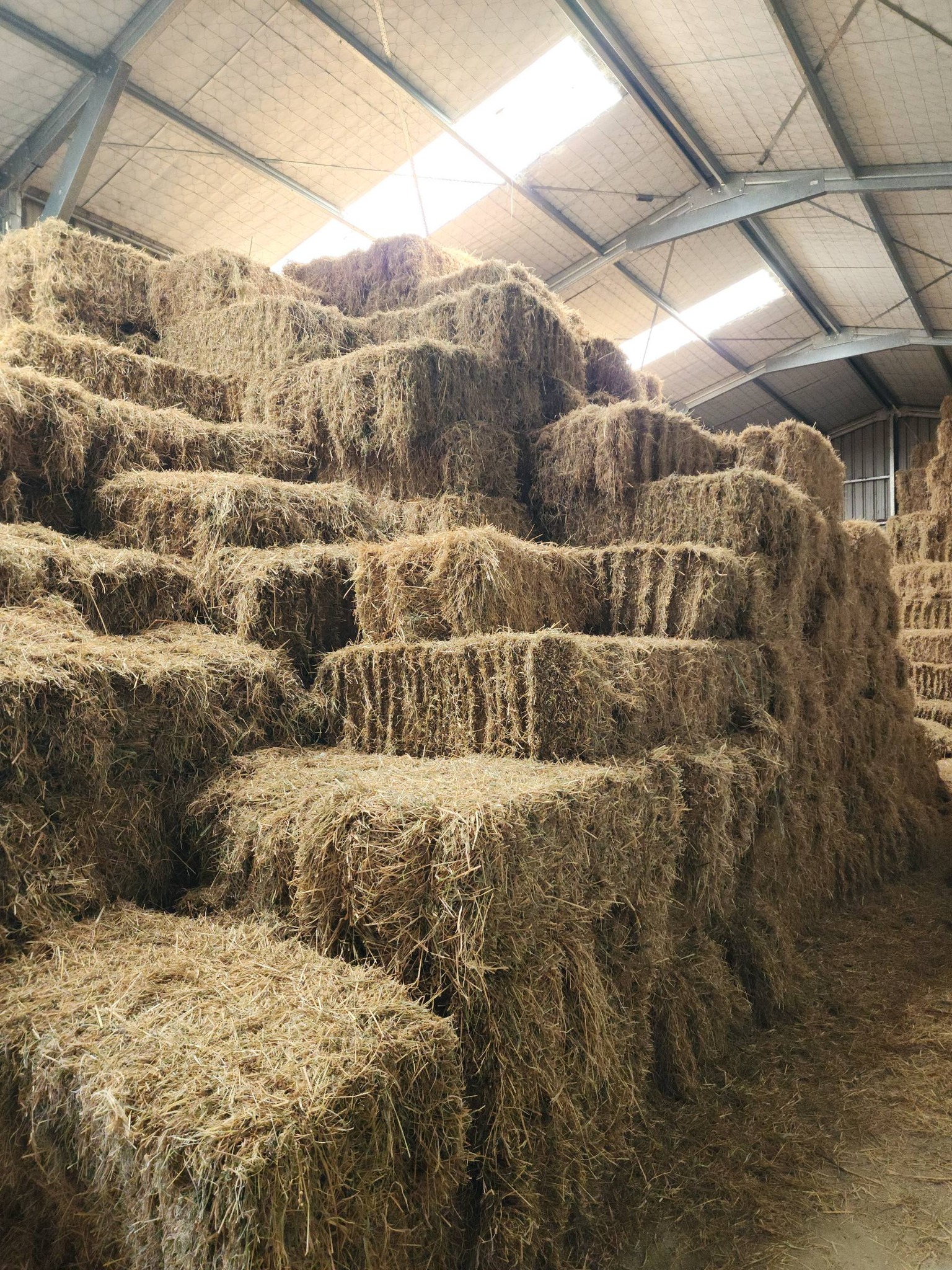 Hay bales stacked in barn